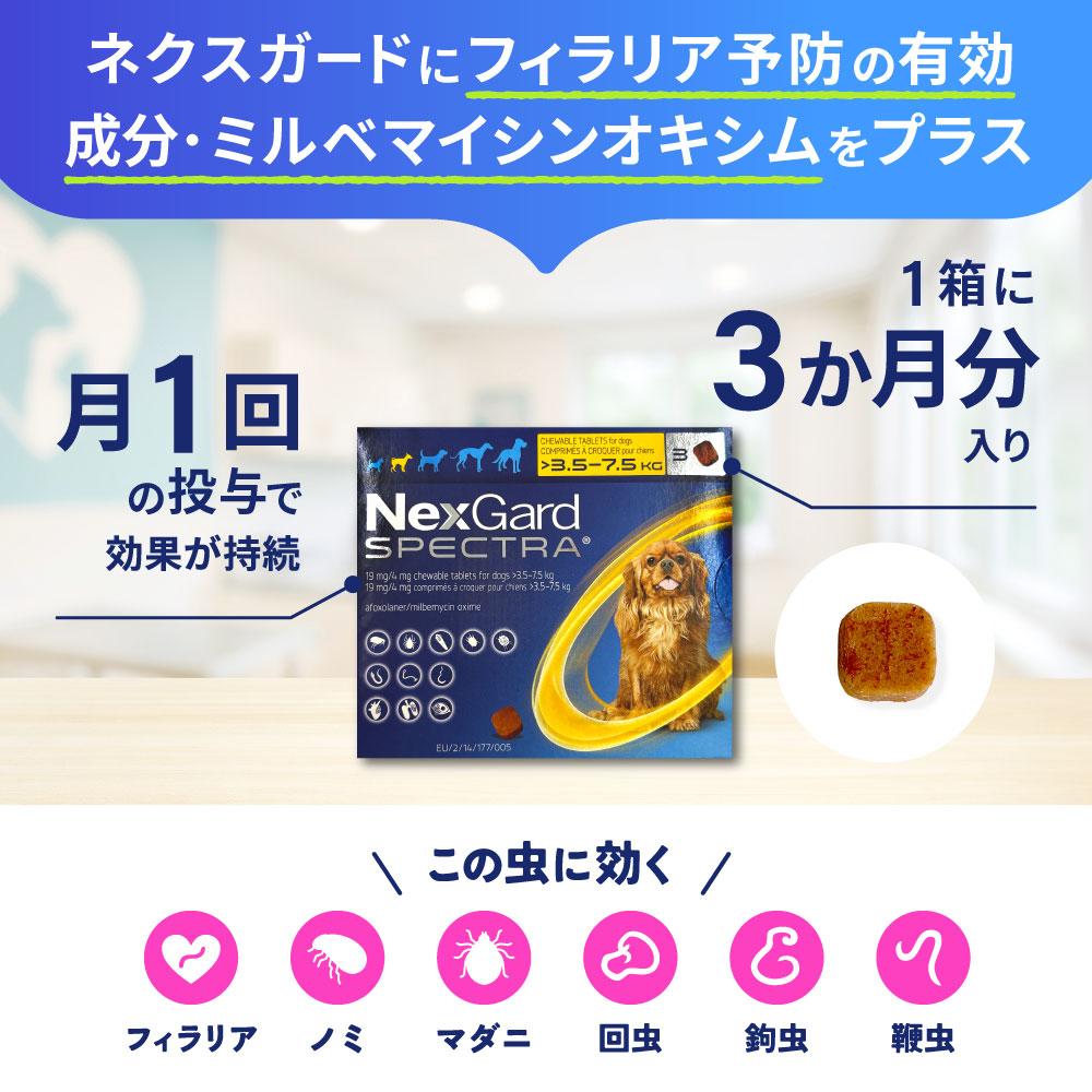 ネクスガードスペクトラ 超小型犬用（2～3.5kg）通販｜フィラリア予防