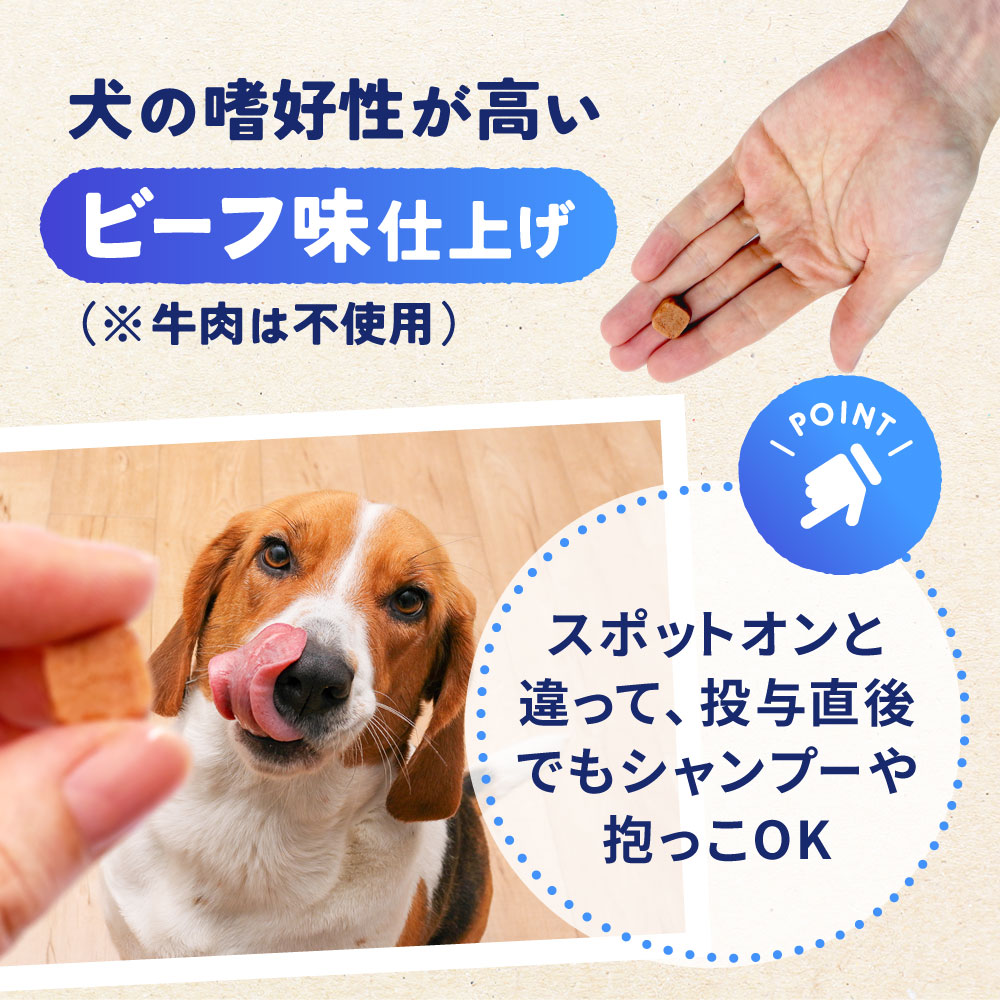 ネクスガード（25～50kg）通販｜ノミ・ダニ駆除薬｜犬｜ペットのお薬