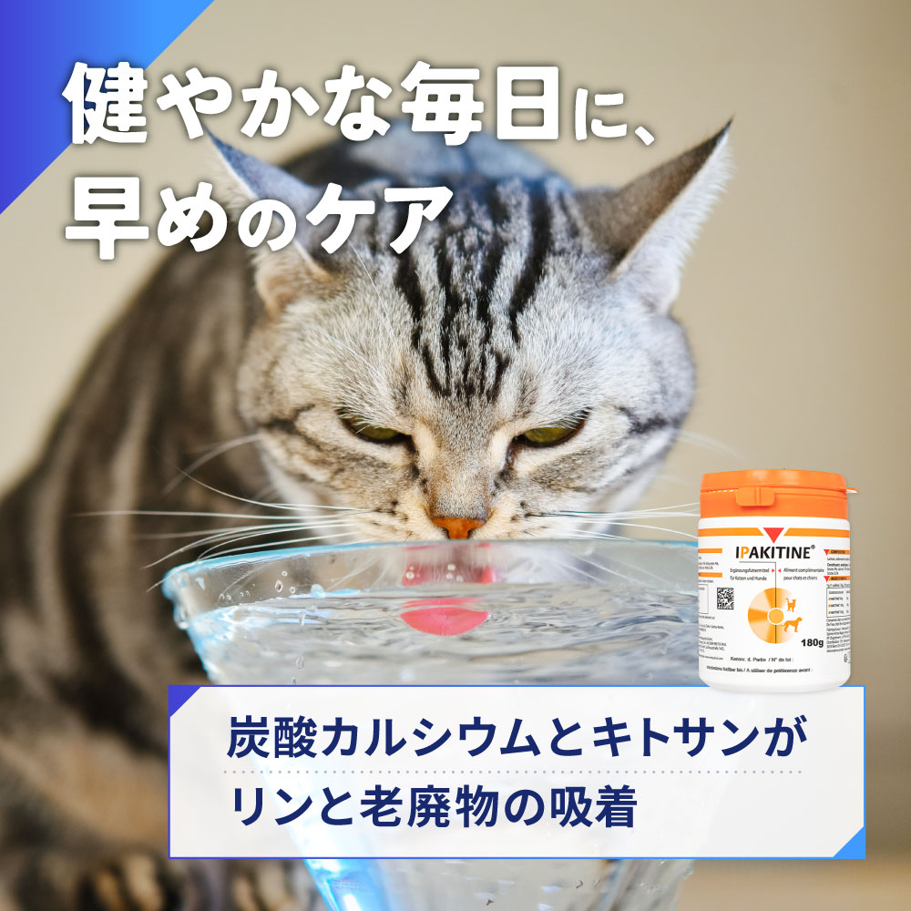 イパキチン新品とイパキチン数回使用とアゾディル ７８錠の３点セットです 日本全薬 【あすつく】【3個セット】【要冷蔵：クール便