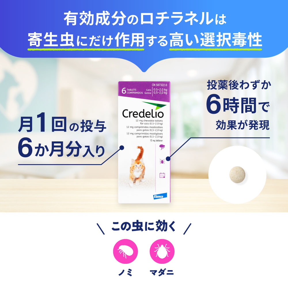 クレデリオCredelio 猫用ノミマダニ駆除薬 クレデリオ（猫用 2.0～8.0kg）通販｜ノミ・ダニ駆除薬｜猫｜ペットの