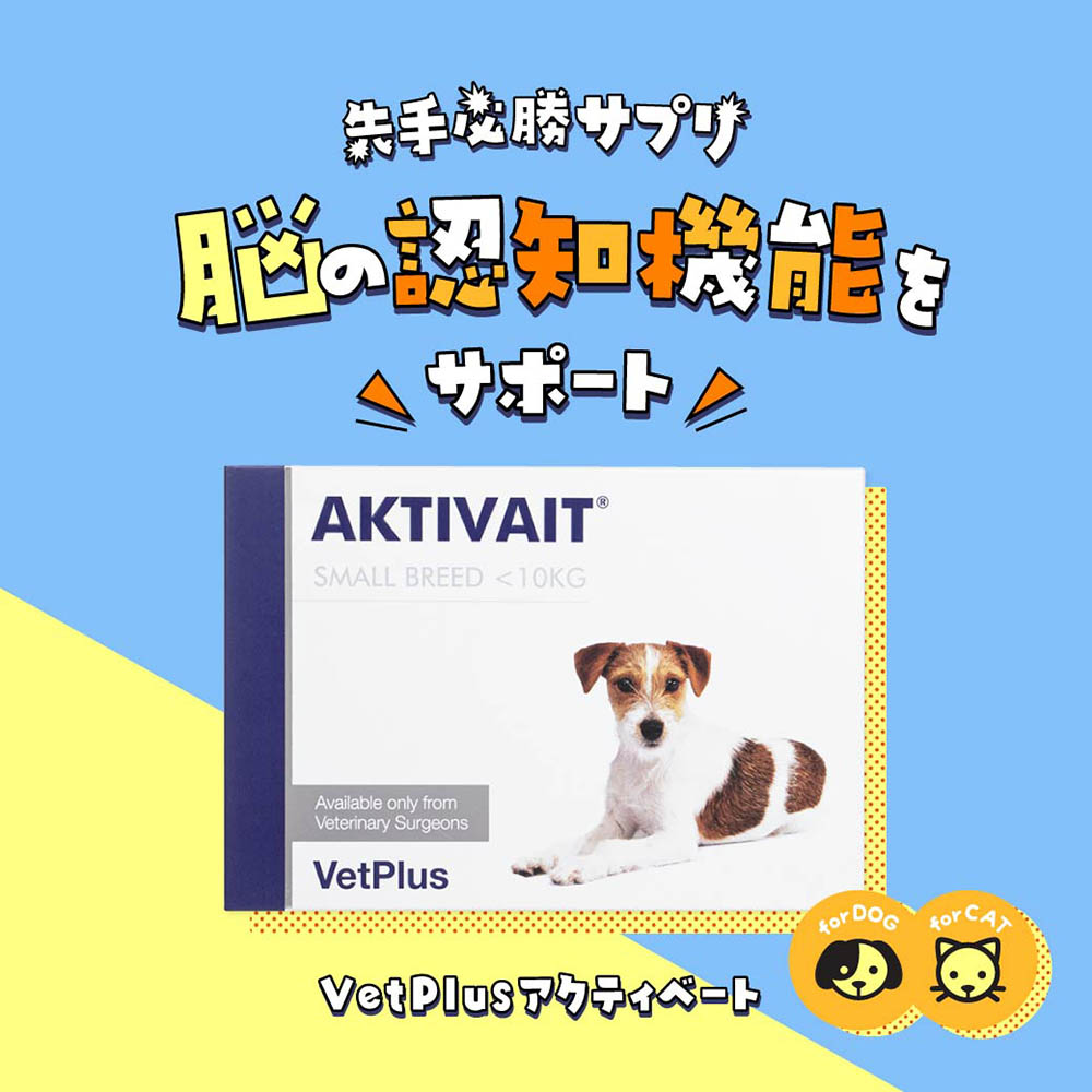 AKTIVAIT アクティベート 犬用認知症サプリメント 60錠 夜鳴き アクティベート(Aktivait) 犬猫用の個人輸入はベストドラッグへ