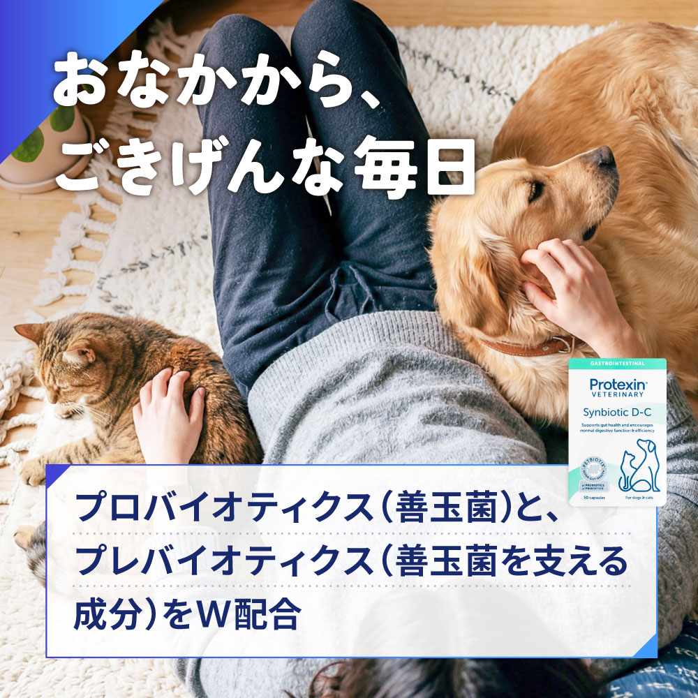 シンバイオティック D-C通販｜サプリメント｜犬｜ペットのお薬うさパラ