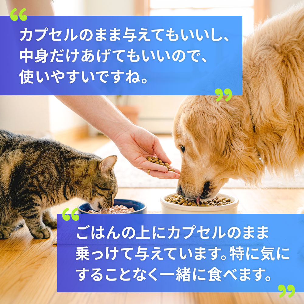 シンバイオティック D-C通販｜サプリメント｜犬｜ペットのお薬うさパラ