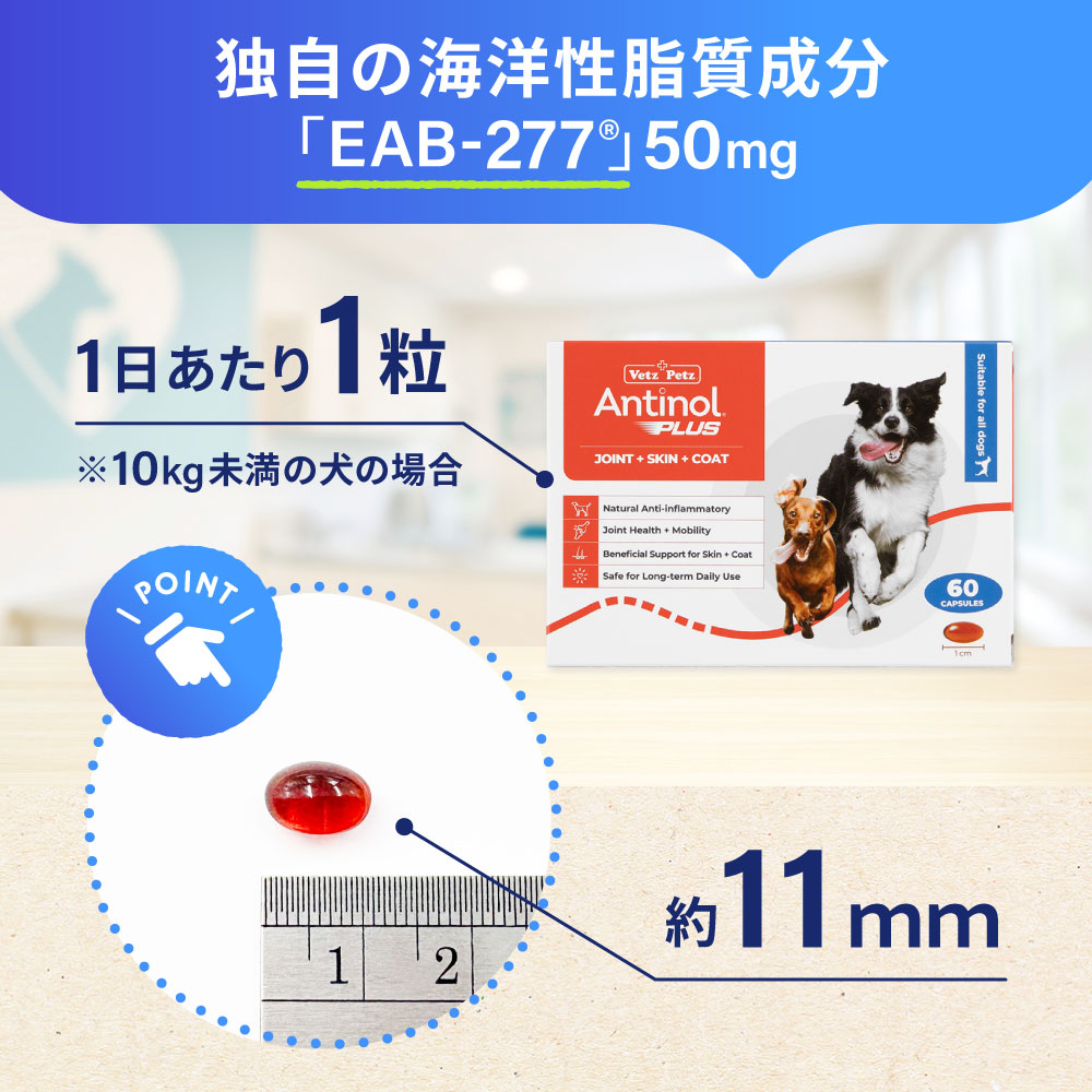アンチノールプラス犬用60カプセル（ドイツ製）通販｜サプリメント｜犬