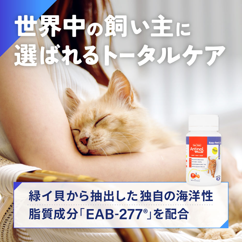 アンチノールプラス猫用60カプセル通販｜サプリメント｜猫｜ペットのお