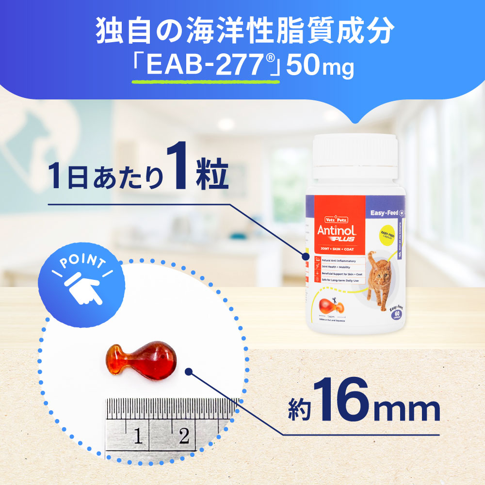 アンチノールプラス猫用60カプセル通販｜サプリメント｜猫｜ペットのお